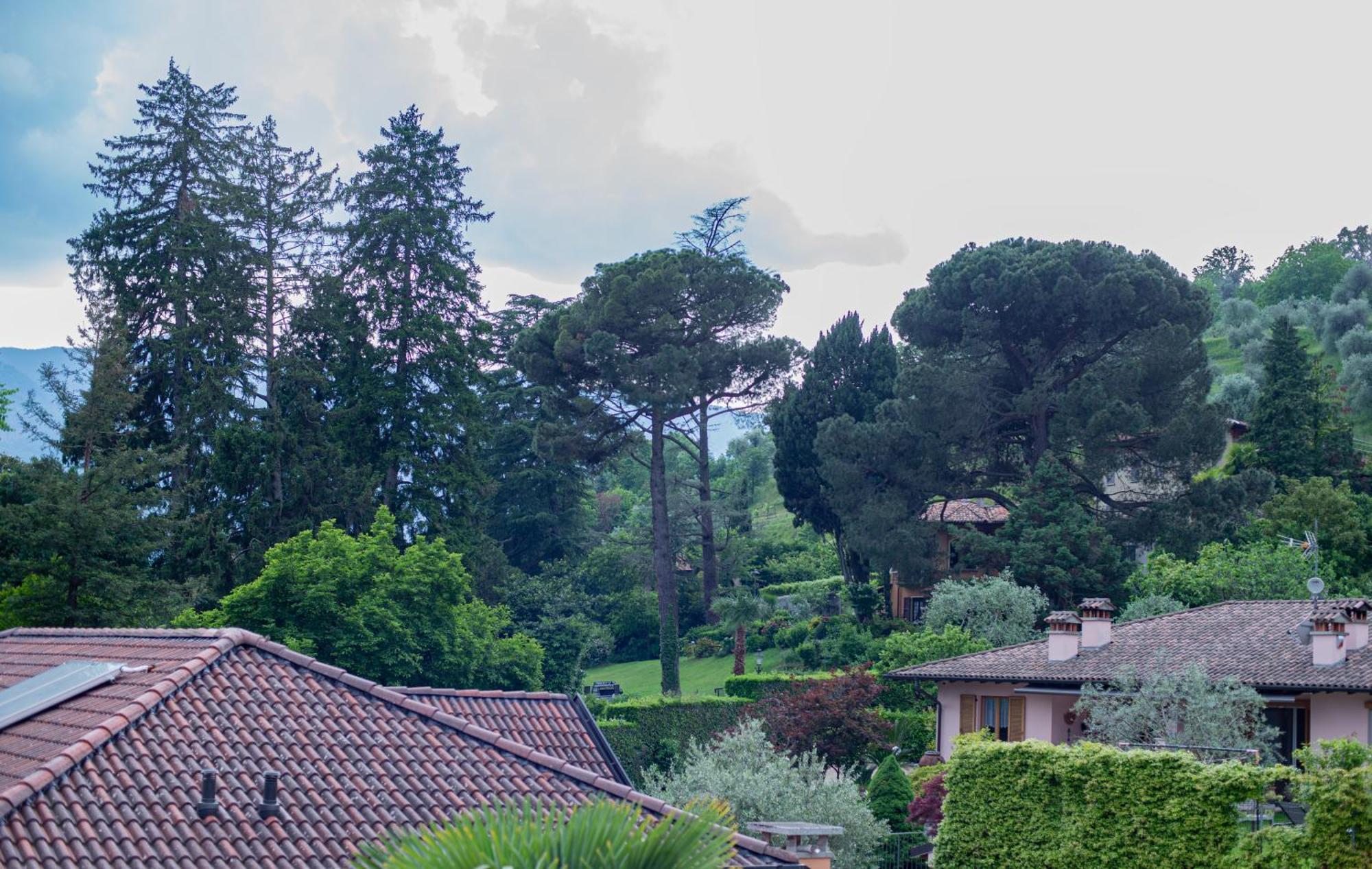 Serene Garden Getaway Cadenabbia Esterno foto
